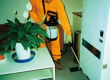 ねずみ・昆虫等防除