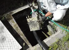 グリーンストラップの抜き取り