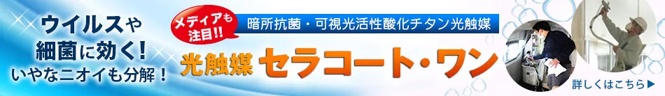 セラコートワン